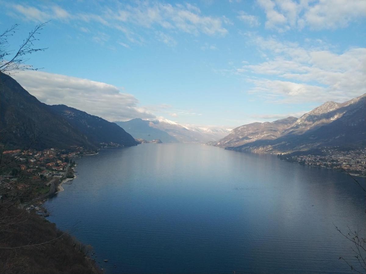 Apartment A Lago Private Beach And Parking Oliveto Lario المظهر الخارجي الصورة