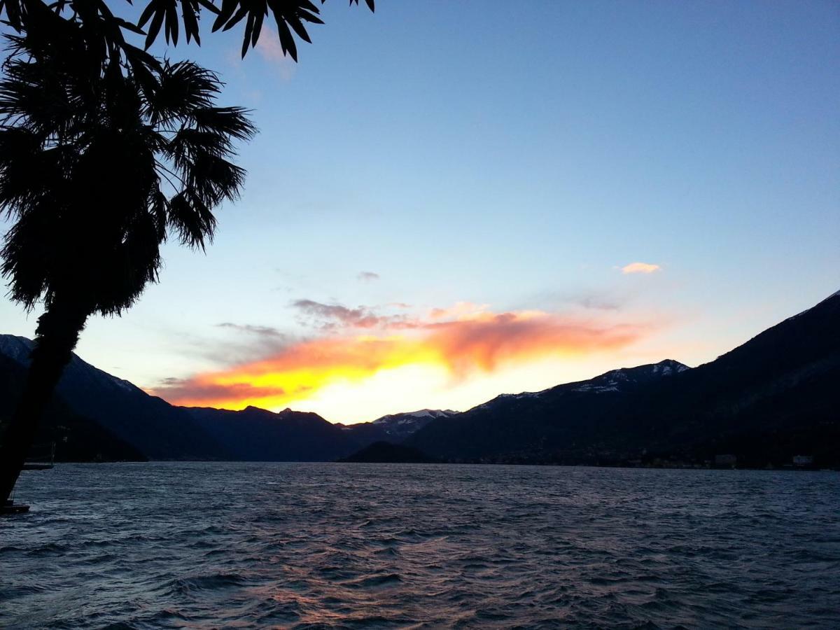 Apartment A Lago Private Beach And Parking Oliveto Lario المظهر الخارجي الصورة