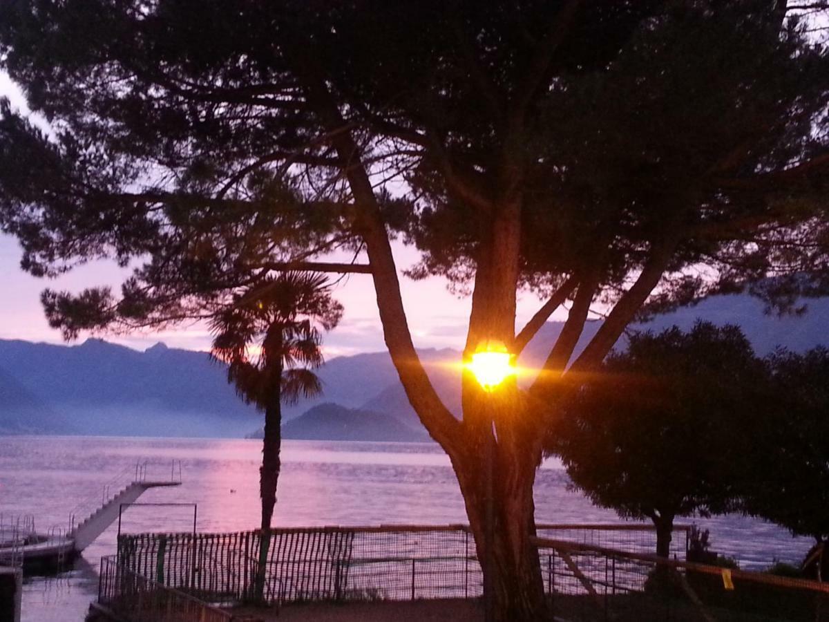 Apartment A Lago Private Beach And Parking Oliveto Lario المظهر الخارجي الصورة